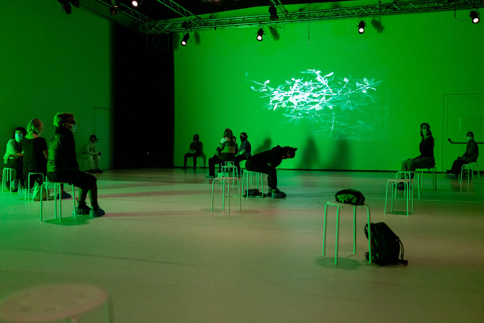 Beautiful Landscapes Performance 4